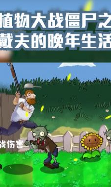 戴夫的晚年生活2023最新版本截图1