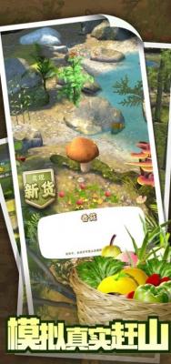 赶山赶海开饭店免广告