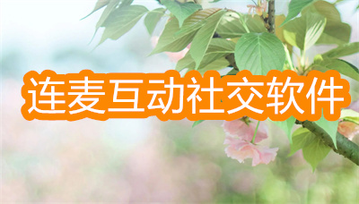 能连麦互动社交软件大全