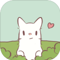 猫和汤2.4.1免广告