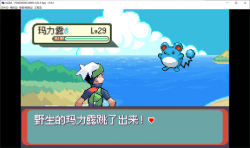 口袋妖怪传说绿宝石1.4.5.8金手指