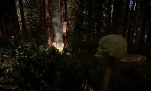 森林之子云游戏截图3