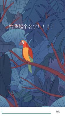 孤独的鸟儿免费版截图1