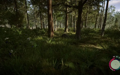 森林之子修改器风灵月影