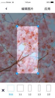 P图照片处理截图1