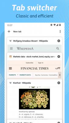 Kiwi Browser中文版截图2