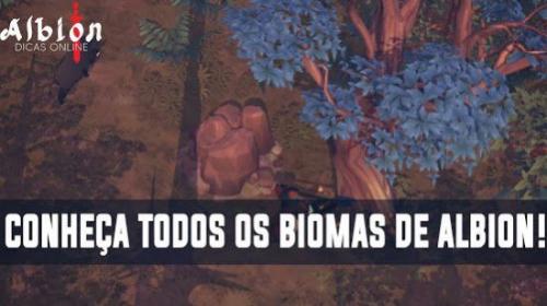 阿尔比恩ol官网截图3