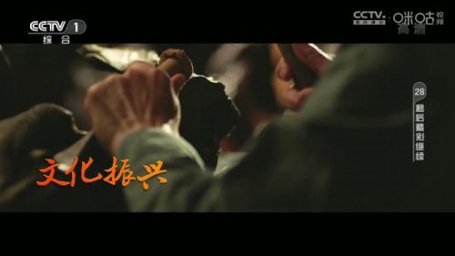 神鸟电视tv截图1