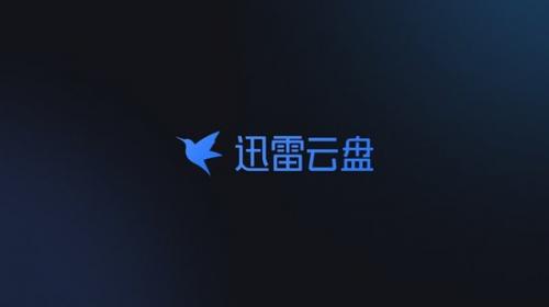 迅雷云盘tv版截图2