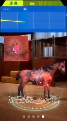 赛马也疯狂免广告截图4