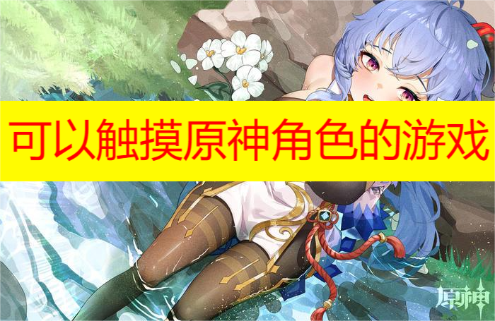 可以触摸原神角色的游戏