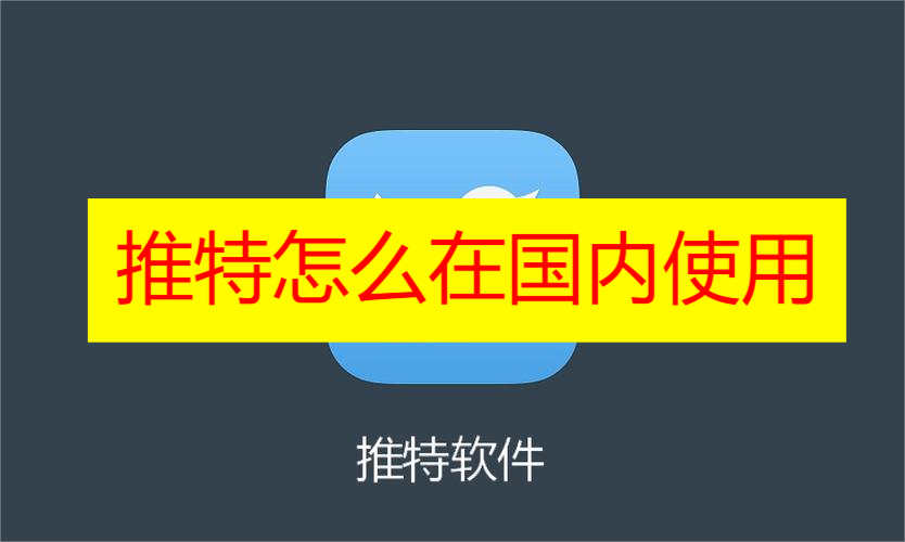 推特怎么在国内使用 推特如何在国内使用