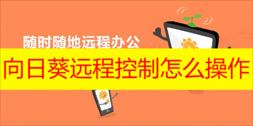 向日葵远程控制怎么操作 向日葵远程控制操作教程分享