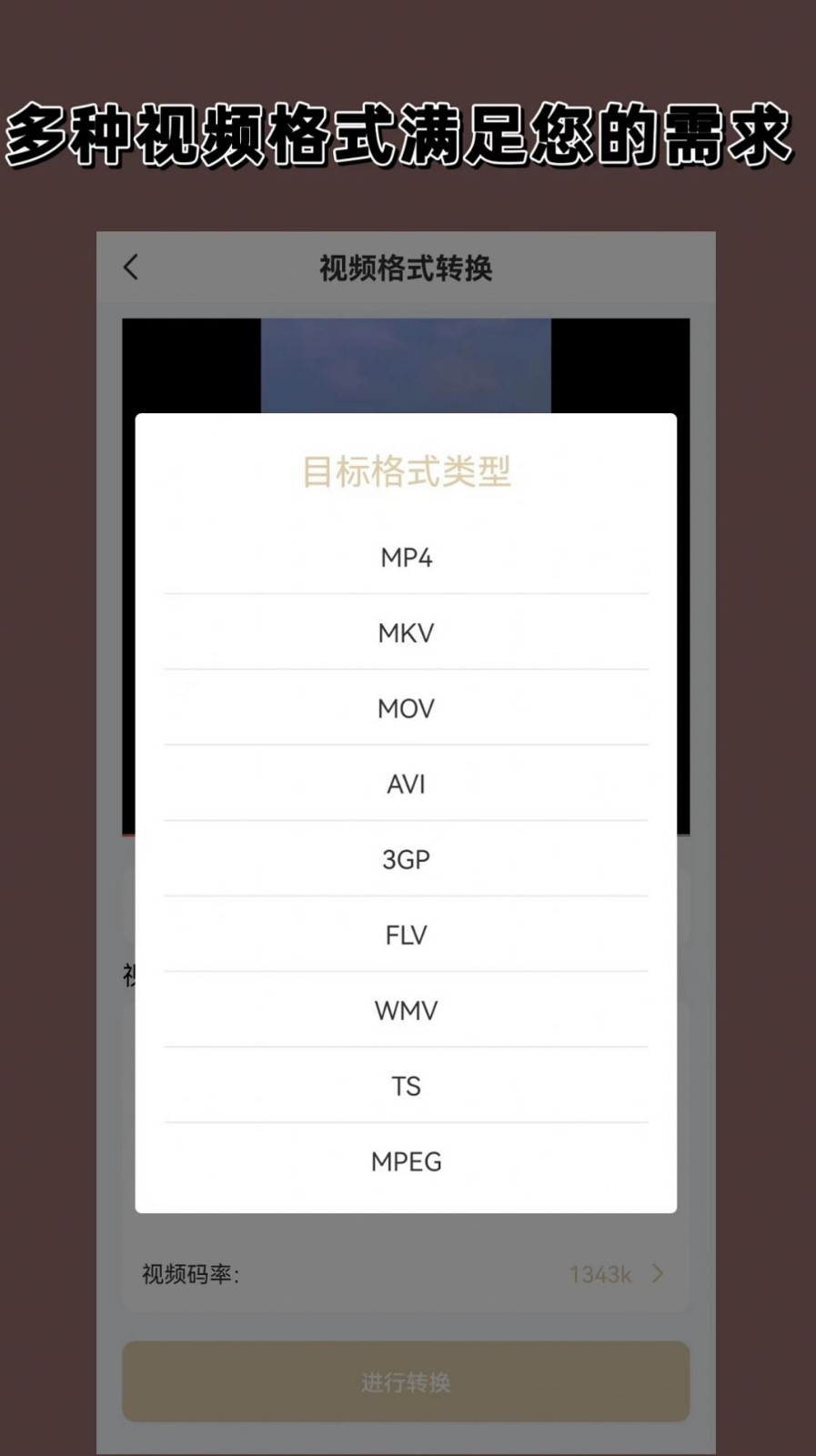 视频音频格式转换器大师截图3