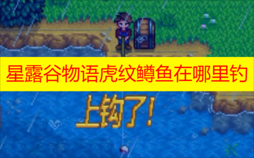 星露谷物语下水道怎么解锁 星露谷物语下水道详细攻略完整版