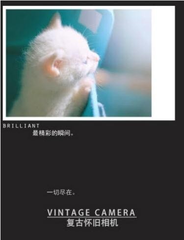 复古怀旧相机截图2