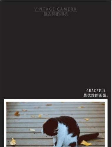 复古怀旧相机截图1