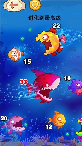 大鱼吃小鱼贼六截图4