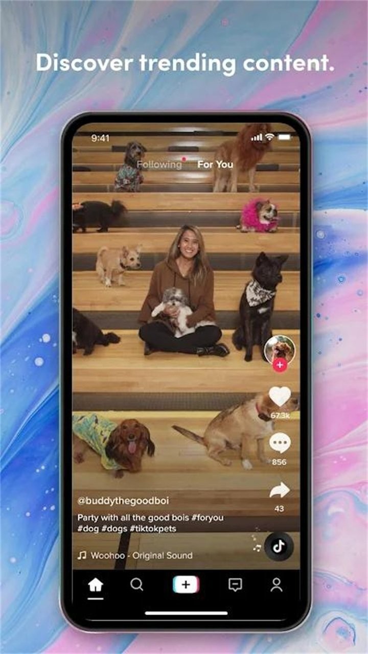 tiktok埃及猫原版截图1