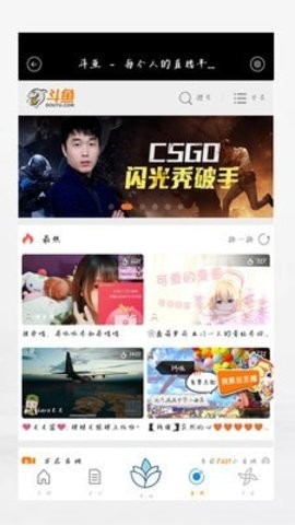 稻米小说截图2