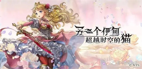 另一个伊甸超越时空的猫