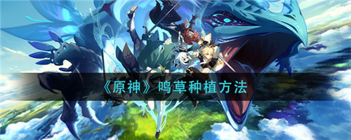 原神鸣草怎么种植 原神鸣草种植方法