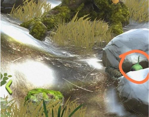 夺笋高手彩蛋有哪些 夺笋高手彩蛋触发方法介绍