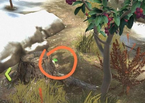 夺笋高手彩蛋有哪些 夺笋高手彩蛋触发方法介绍