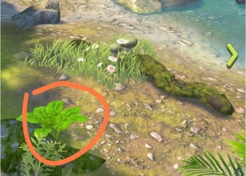 夺笋高手彩蛋有哪些 夺笋高手彩蛋触发方法介绍