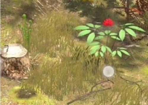 夺笋高手长白山金色人参彩蛋有哪些 夺笋高手长白山金色人参彩蛋触发方法介绍