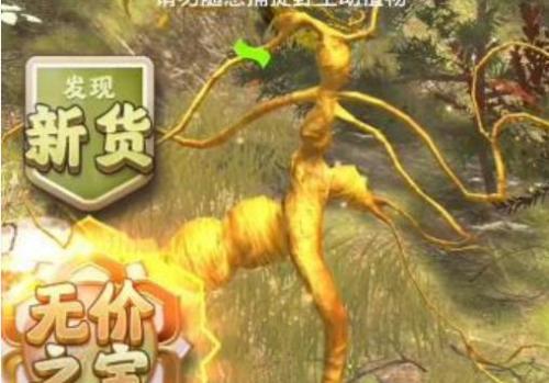 夺笋高手长白山金色人参彩蛋有哪些 夺笋高手长白山金色人参彩蛋触发方法介绍