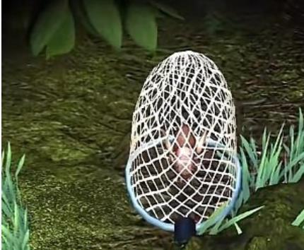 夺笋高手七彩朱砂蟋蟀怎么获得 夺笋高手七彩朱砂蟋蟀获得方法介绍