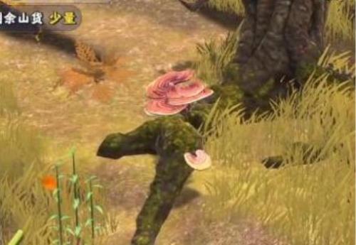 夺笋高手九转还魂芝怎么获得 夺笋高手九转还魂芝获得方法介绍