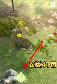 夺笋高手彩蛋有哪些 夺笋高手彩蛋触发方法介绍