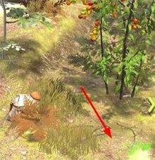 夺笋高手彩蛋有哪些 夺笋高手彩蛋触发方法介绍