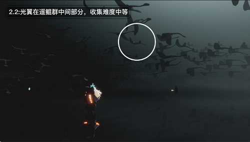 光遇破晓季光翼在哪里 光遇破晓季光翼具体位置介绍