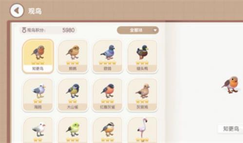 心动小镇小鸟出现条件有哪些 心动小镇小鸟出现条件汇总介绍