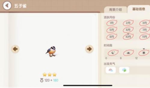 心动小镇小鸟出现条件有哪些 心动小镇小鸟出现条件汇总介绍