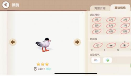 心动小镇小鸟出现条件有哪些 心动小镇小鸟出现条件汇总介绍