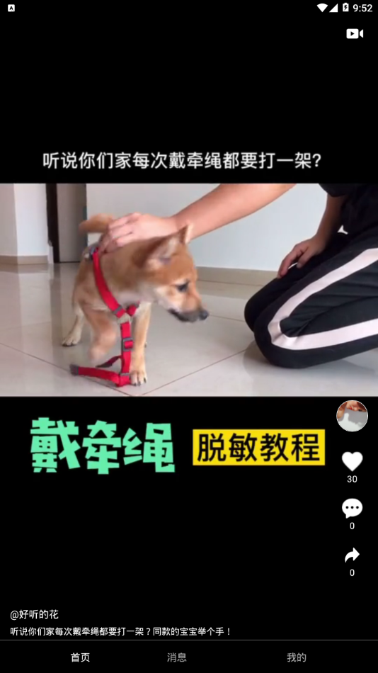 小主短视频截图1