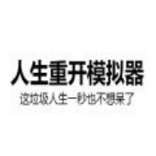 人生重开模拟器大步朝前走魔改版