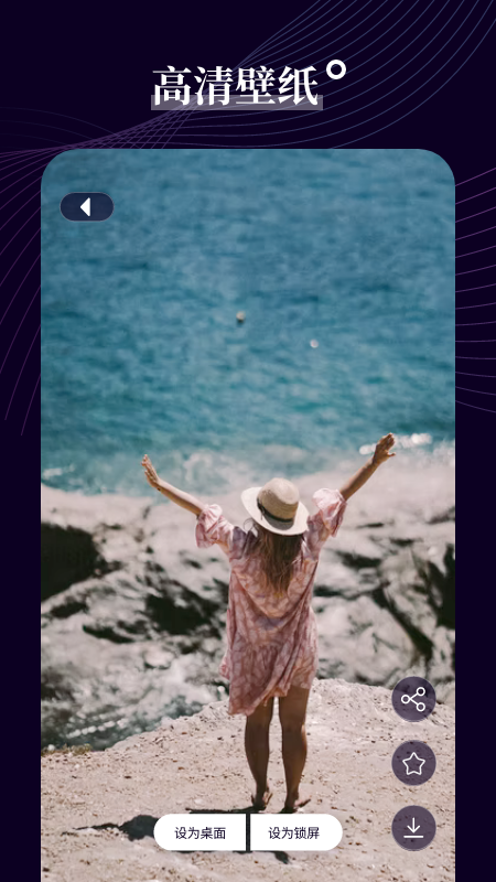 小鸟主题壁纸截图3