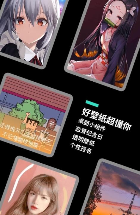 主题桌面大全截图3