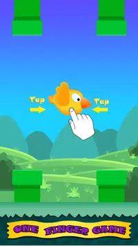 有趣的小鸟官方版