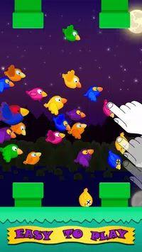 有趣的小鸟官方版