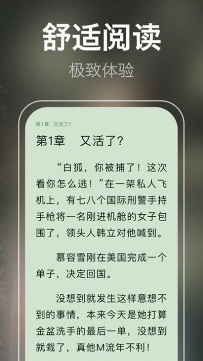泉涩小说截图2