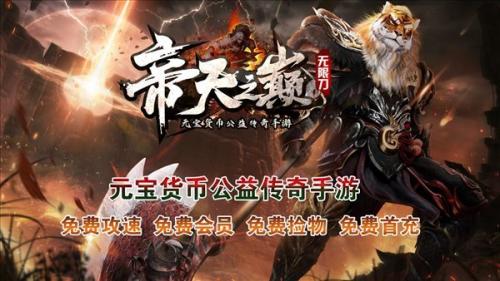 帝天传奇帝天之巅截图3