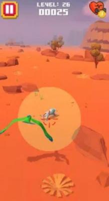 猛禽愤怒的小鸟猎杀动物