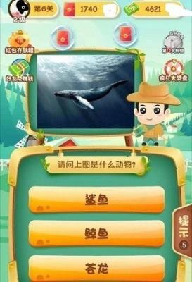 动物达人秀红包版