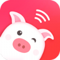 乖猪聊天交友最新版
